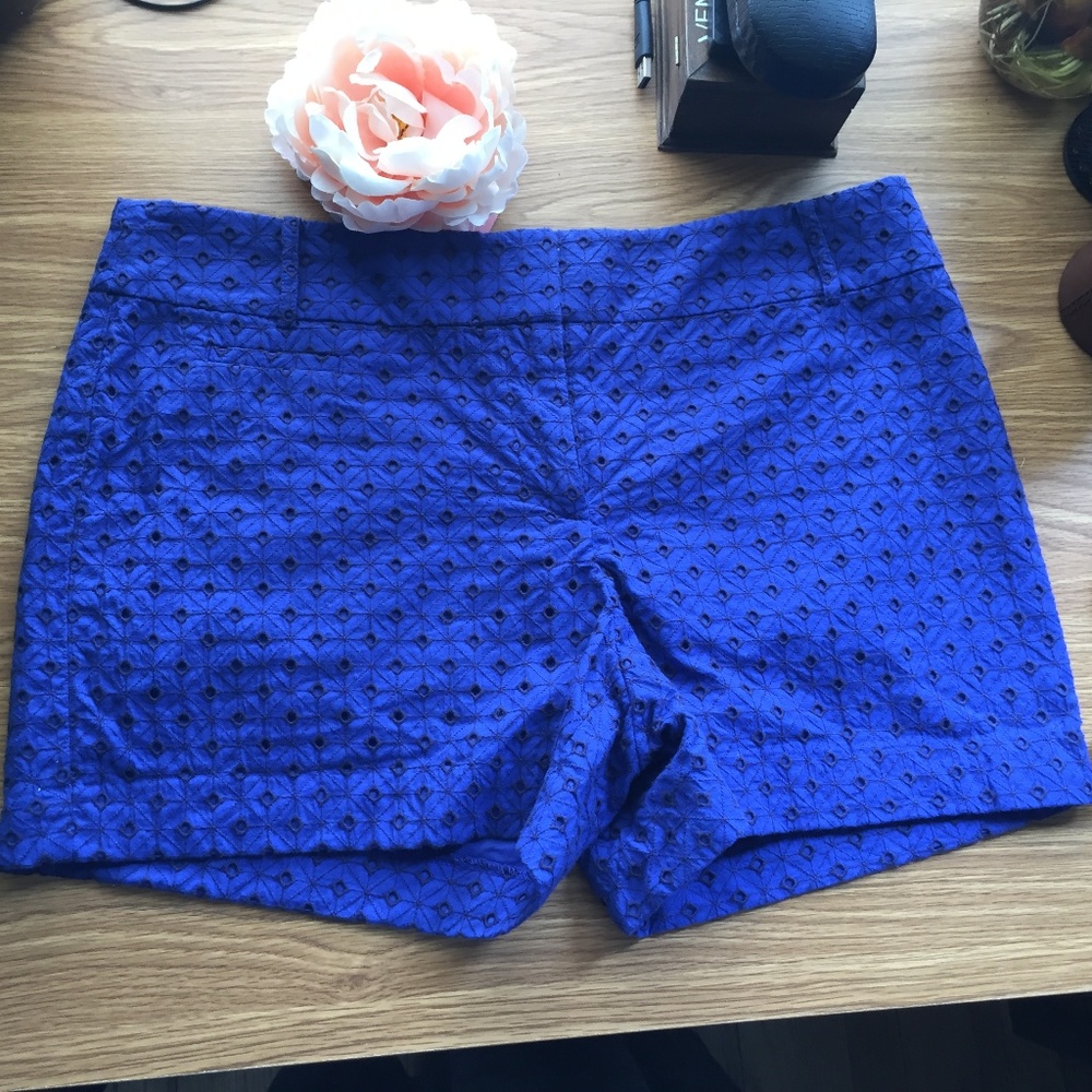Loft  Blue short , New,  size 8, 100% cotton,